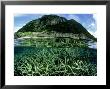 Staghorn Coral And Island, Fiji by Tobias Bernhard Limited Edition Print