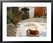 Kea On Coffee Table, New Zealand by Tobias Bernhard Limited Edition Print
