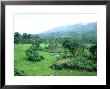 Rural Scenery, Sri Lanka by Michael Brooke Limited Edition Print