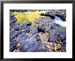 Fall Reflections In The Tellico River, Tn by Willard Clay Limited Edition Print