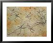 Fossil Starfish by David M. Dennis Limited Edition Print