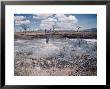 Clearance Of Uninhabited Bush For Farming And Settlement Between Dodoma And Iringa, Tanzania by Richard Packwood Limited Edition Print