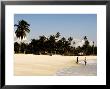 People Walking On Beach South Of Dar Es Salaam, Tanzania by Ariadne Van Zandbergen Limited Edition Print