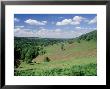 The Devils Punch Bowl, Hindhead, Uk by Ian West Limited Edition Print