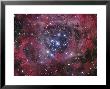 Ngc 2244 by Stocktrek Images Limited Edition Print