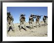 Military Transistion Team Members Quickly Reload Their Rifles by Stocktrek Images Limited Edition Print