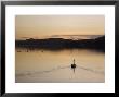 Swan Swimming At Sunset On Coniston Water In Autumn, Coniston, Lake District National Park, England by Pearl Bucknall Limited Edition Print