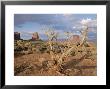 Monument Valley, Arizona, Usa by Hans Peter Merten Limited Edition Print