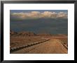 Pampa, Llalqui, Atacama, Chile, South America by R Mcleod Limited Edition Print