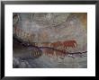Rock Paintings, Matopo Park, Zimbabwe, Africa by I Vanderharst Limited Edition Print