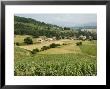 Countryside Near St. Jean Pied De Port, Basque Country, Pyrenees-Atlantiques, Aquitaine, France by R H Productions Limited Edition Print