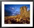 Ancient Inca Tomb At Sunset, Near Lake Titicaca, Peru by Jim Zuckerman Limited Edition Print