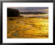 Outgoing Tide At Sunset On Campobello Island, New Brunswick, Canada by Julie Eggers Limited Edition Print