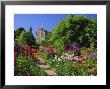 Herbaceous Borders In The Gardens, Crathes Castle, Grampian, Scotland, Uk, Europe by Kathy Collins Limited Edition Print