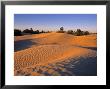Sahara Desert, Douz,Tunisia by Jon Arnold Limited Edition Print