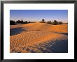 Sahara Desert, Douz,Tunisia by Jon Arnold Limited Edition Pricing Art Print