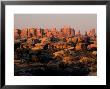 Dawn In The Needles District, Cedar Mesa Sandstone, Canyonlands National Park, Utah, Usa by Jerry & Marcy Monkman Limited Edition Print