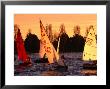 Small Yachts Sailing Around Albert Park Lake, Melbourne, Australia by John Banagan Limited Edition Print