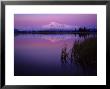 Mt. Sanford Reflected In Kettle Lake Wrangell, Alaska by Michael S. Quinton Limited Edition Print