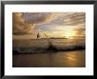 Skimboarder Flips Head Over Heels Off A Wave, Makena Beach, Maui Island, Hawaiian Islands by Skip Brown Limited Edition Print