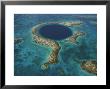 The Deep Sinkhole Of Blue Hole Natural Monument In Lighthouse Reef by Bobby Haas Limited Edition Print