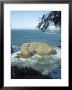 Arch Rock, Oregon, Usa by Ethel Davies Limited Edition Pricing Art Print
