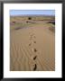 Dunes And Camp Under Tree In The Distance At Erg Al Hatin, Desert Trek, Draa Valley, Morocco by Jenny Pate Limited Edition Print