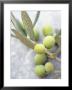 Olive Sprig With Green Olives by Brigitte Sporrer Limited Edition Print
