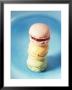 Colourful Macarons (Small French Cakes) by Isabelle Rozenbaum Limited Edition Pricing Art Print