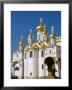 Kremlin, Annunciation Cathedral, Moscow, Russia by Steve Vidler Limited Edition Print