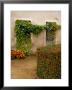 Flowers Along Stucco Building, Burgundy, France by Lisa S. Engelbrecht Limited Edition Print