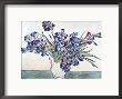 Vase Of Irises by Vincent Van Gogh Limited Edition Print