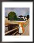 Girls On The Pier by Edvard Munch Limited Edition Pricing Art Print
