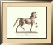 Horse (Left) by Antonio Canova Limited Edition Print