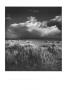 Suffolk Beach by Bill Philip Limited Edition Print