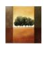 Trees Iii by Hans Paus Limited Edition Print