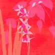 In Bloom Ii by Kate Knight Limited Edition Pricing Art Print