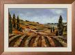 Chianti Afternoon Ii by John Milan Limited Edition Print