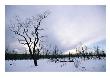 A Desolate, Snowy Winter Landscape With Fire-Damaged Trees by Rich Reid Limited Edition Print