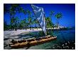 A Sailing Canoe On The Beach Of The South Kona Coast, Puuhonua O Honaunau National Park, Hawaii, Us by Ann Cecil Limited Edition Print