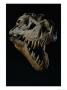 Skull Of A Tyrannosaurus Rex by Ira Block Limited Edition Pricing Art Print