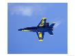 Navy Blue Angels Jet Flies At Andrews Af Base by Mark Reinstein Limited Edition Print