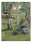Keeper Of The Cows by Camille Pissarro Limited Edition Pricing Art Print