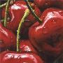 Cherries by Alma'ch Limited Edition Print