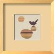 Fly On The Wall by Ruppel Limited Edition Print