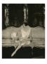 Vogue - October 1926 by Edward Steichen Limited Edition Print