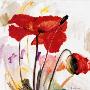 Crimson Poppy Ii by Marysia Limited Edition Pricing Art Print