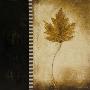 Maple Leaves I by Kimberly Poloson Limited Edition Print