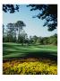 Caledonia Golf And Fish Club, Hole 11 by Stephen Szurlej Limited Edition Print