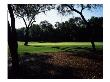 Turtle Point Golf Course, Hole 12 by J.D. Cuban Limited Edition Print